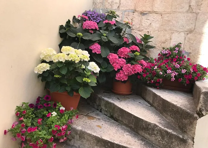 Bed & Breakfast Romantic Luxury Split